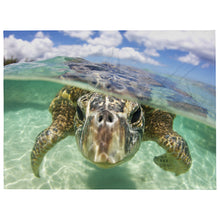 A Honu Sea Turtle World Cozy Sea Turtle Lover Throw Blanket