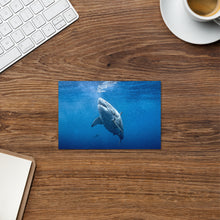 Jawsome Great White Shark Greeting card
