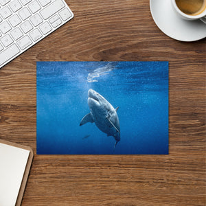Jawsome Great White Shark Greeting card