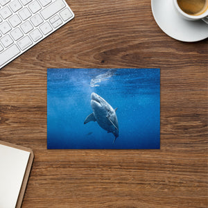 Jawsome Great White Shark Greeting card