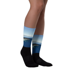 Tiger shark Socks