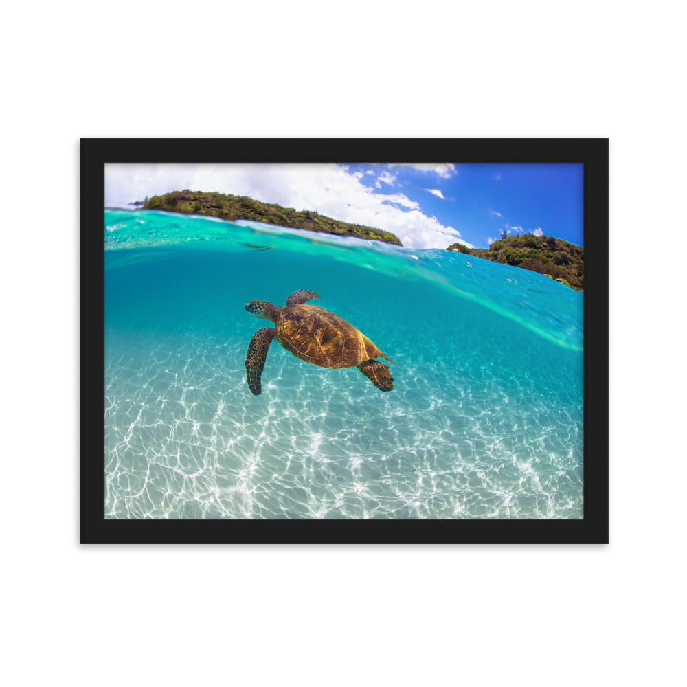 Turtle Framed matte paper poster