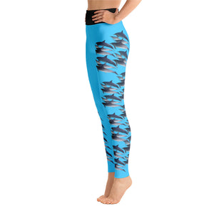 Dolphin Party Full length Yoga Leggings