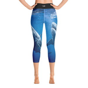 Great White Holidays Yoga Capri Leggings.  Photo by @JuanSharks
