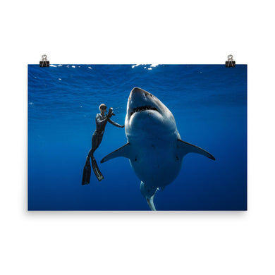Help Save Sharks Great White Shark Hawaii Deep Blue and Ocean Ramsey Photo paper poster