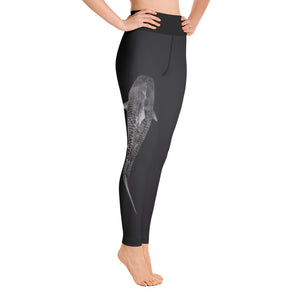 Tiger Shark High Waisted Yoga Leggings